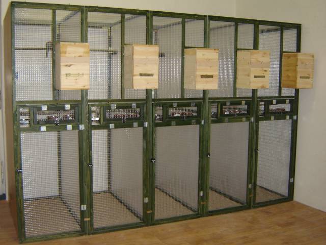 Voliera3