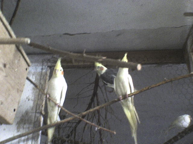 DSC00079.JPG
