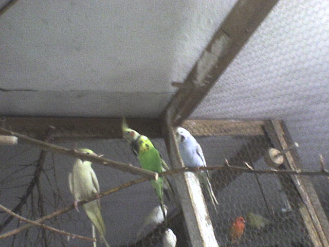 DSC00083.JPG
