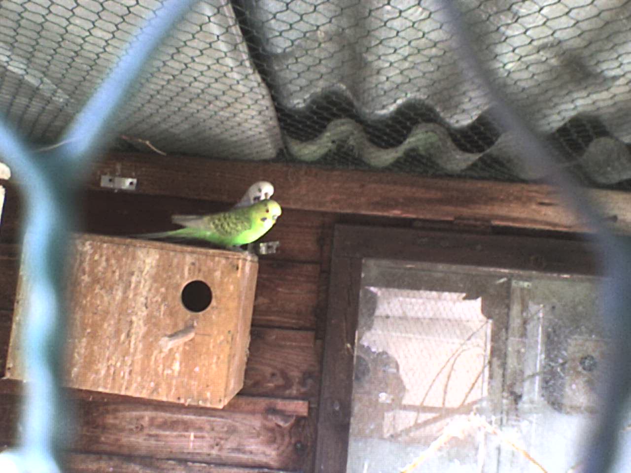 DSC00214.JPG